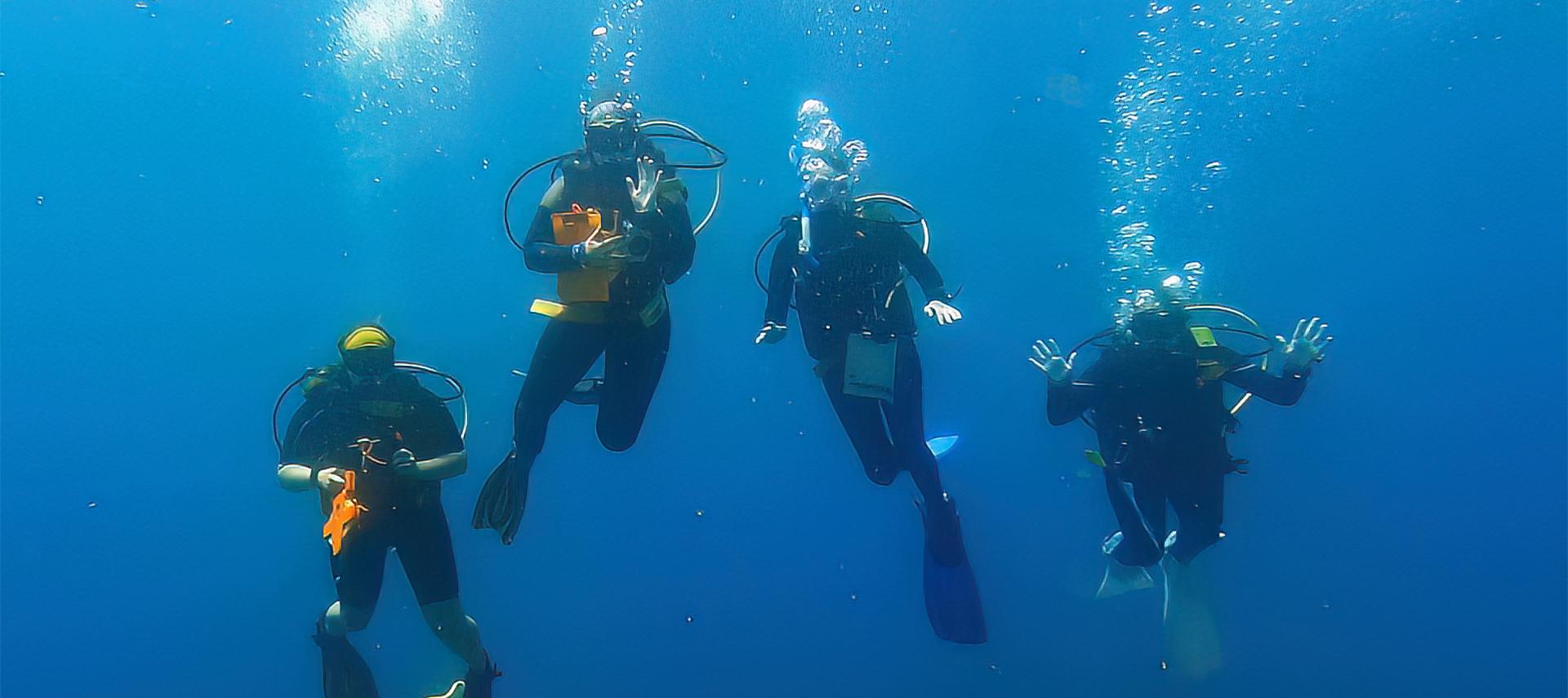 Marine biology students in ocean