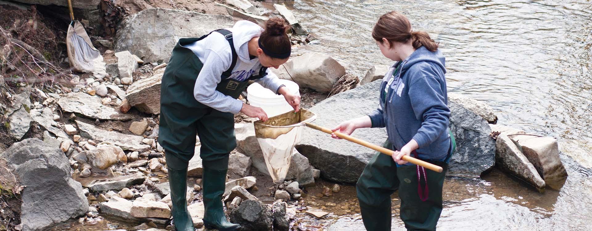 WLC students exploring a local waterway